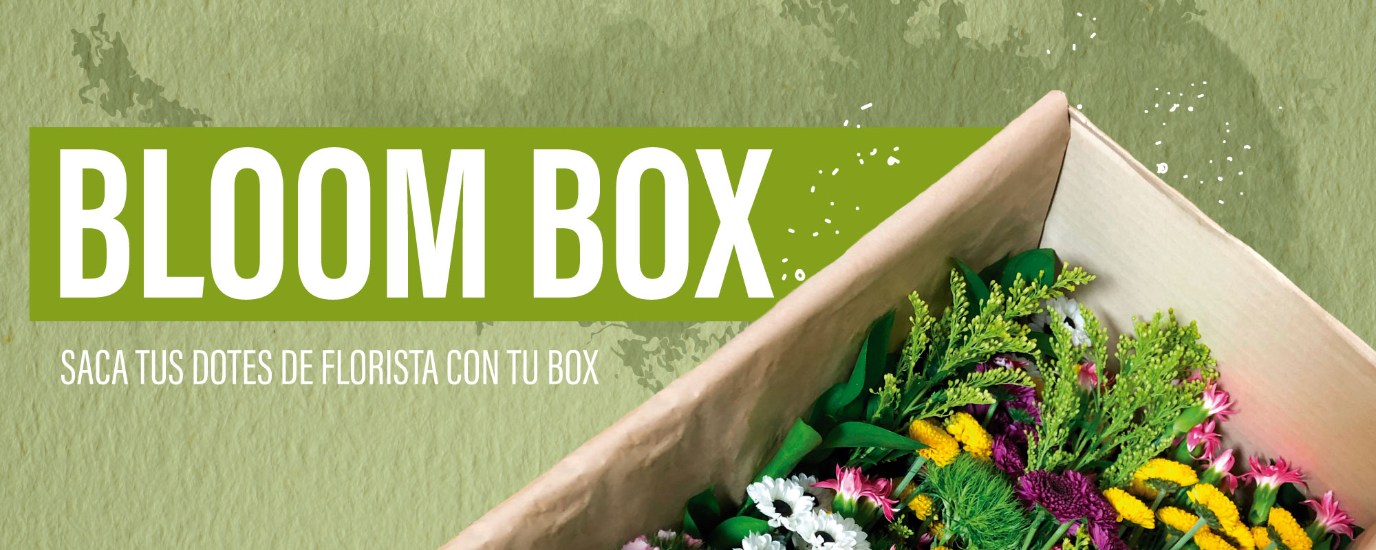 bloombox.home