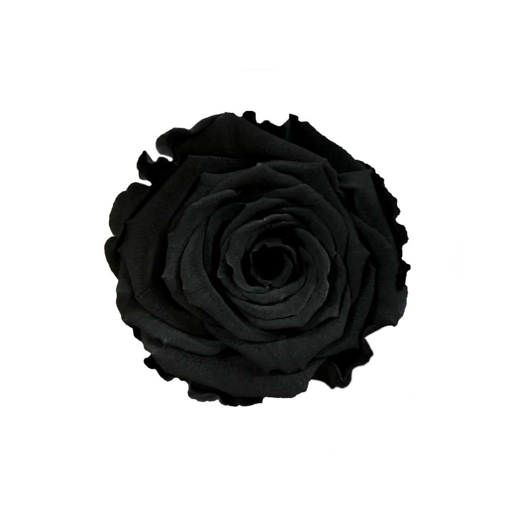 Rosa Negra